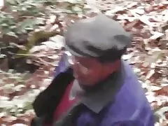 Coed gyfres - goedwig wyllt